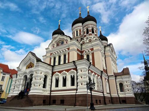 ����������-������� ������������ �����