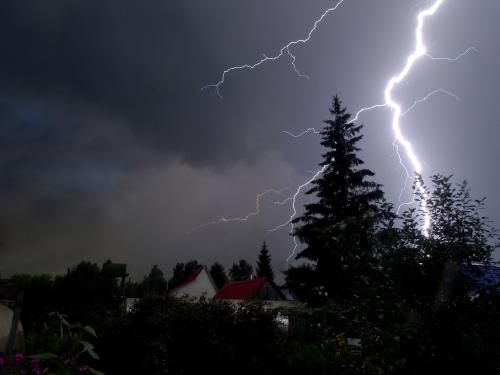 ������ �����.