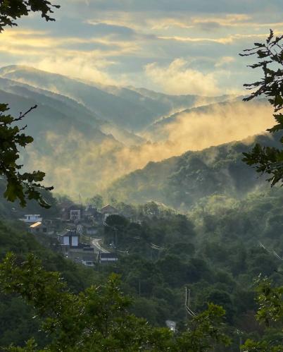 �� �������� �������