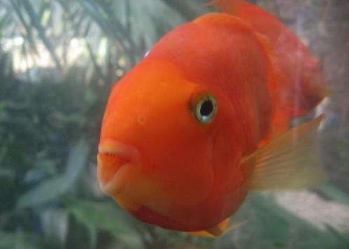 ����-�������