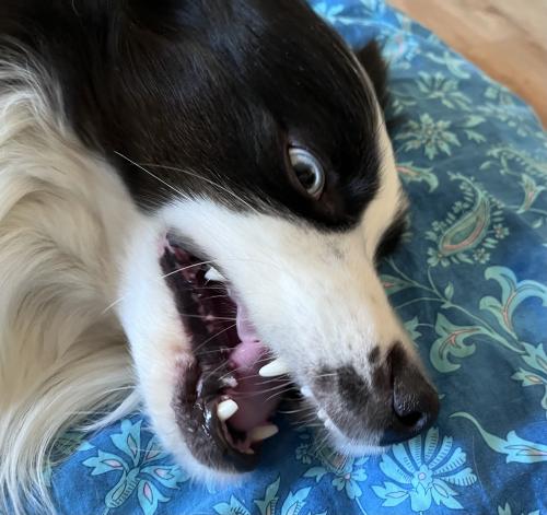 �� ����� ����