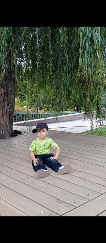 �� ������� 