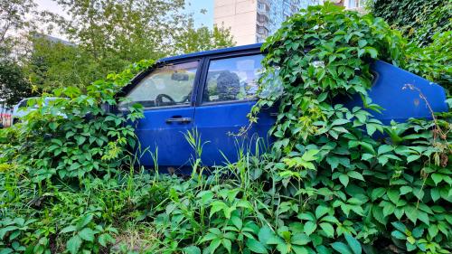 ���������� ����������� ��������.