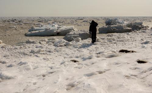 ���������� �� ����