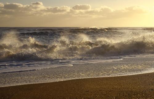 ����� ����� ������ 