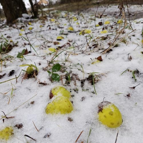 ������ � �����