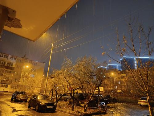 ������ �����