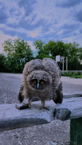 �������