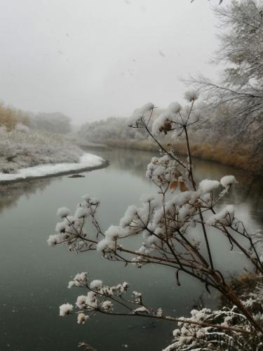 ����� ���� ����������� ������