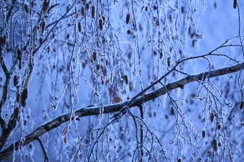 ������ �������