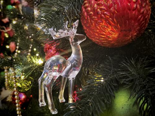 ������ �������