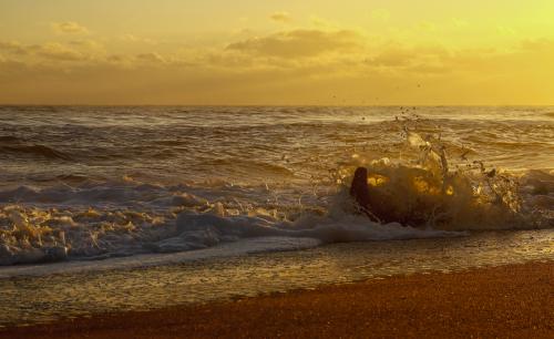 ������� � ����������� 