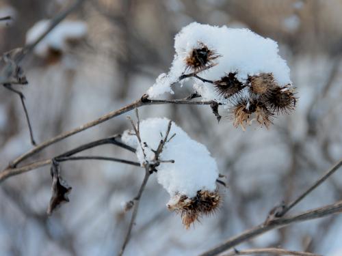 ��� ������ ����������