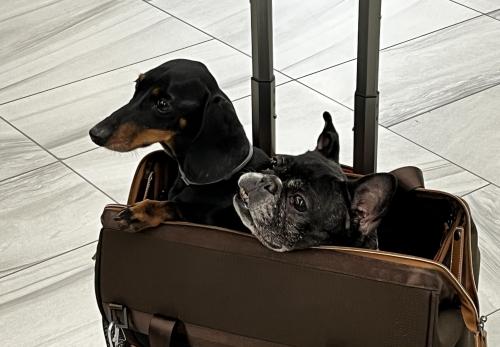 � �������, �� �� � �����!