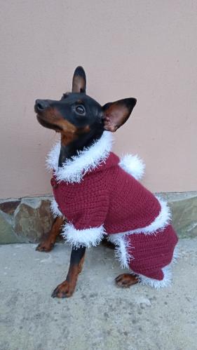 � ������ ���� ������ ! ���� ������ 