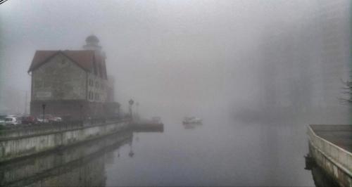 ���� �������� 