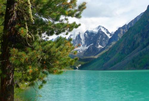 ����� ����������