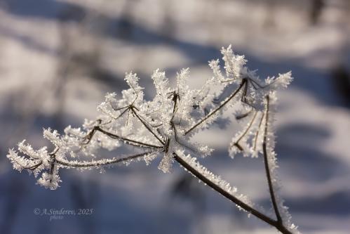 ����� ����� � ����