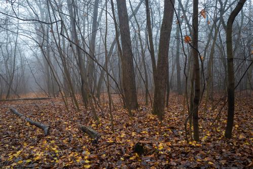 ������� ������� � ������