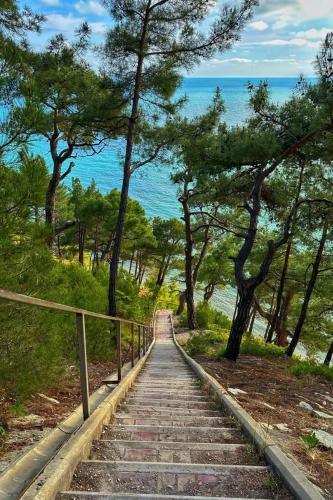 ������ � ����