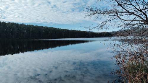 ����� ���� ���������� �����