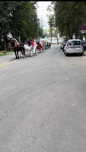 ���� ��������, ���� �����