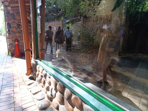 � ��������� ����