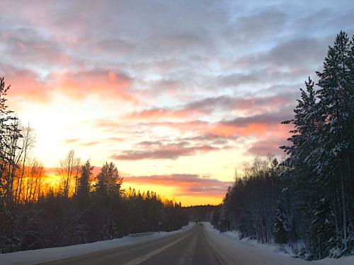 ������ ���� �� ��������