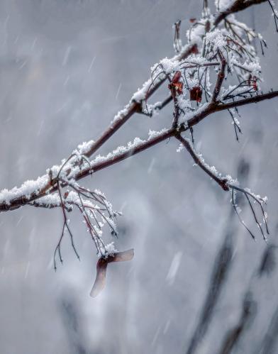 ���� �����.