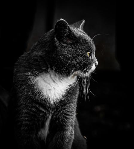 ����� ���������� 