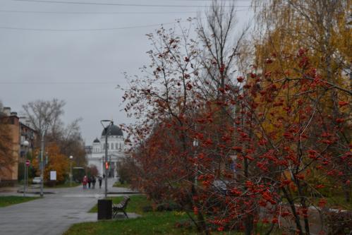 ��������� ��