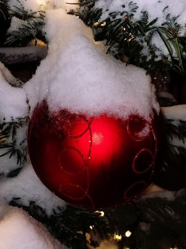 ������ ���