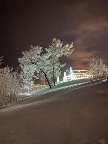 ���� ����������