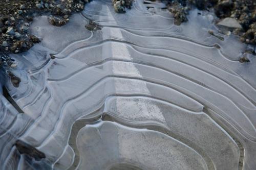 ������ ���� �� ������