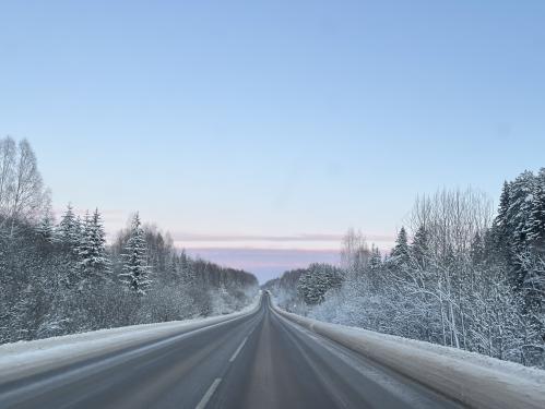 ������ ������