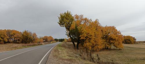 ������� �������� ������