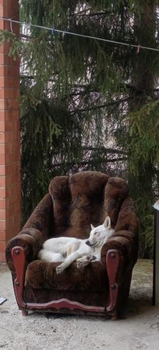 ����� ���