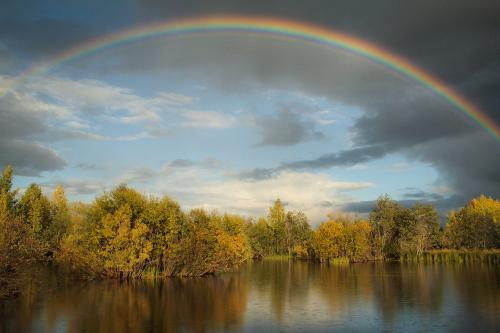 ������...