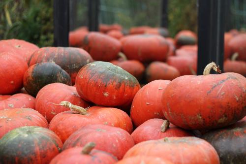 ������� ������