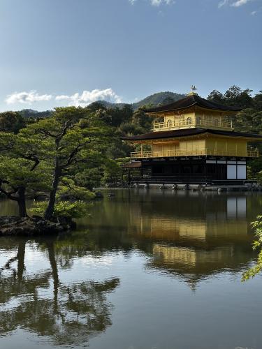 ������� ����