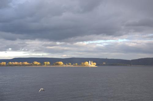 ����� ���� � ���� �������.