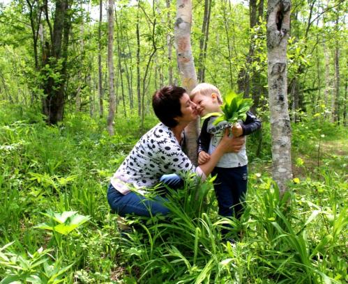 ������������ �������� 