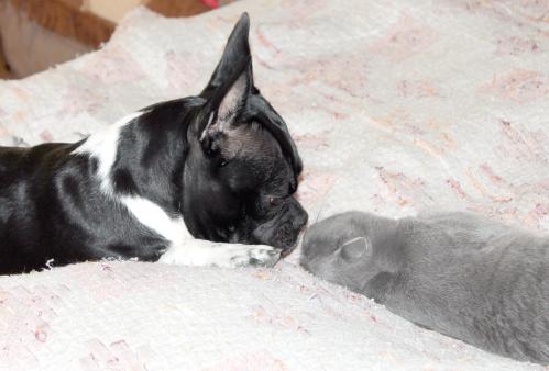 �� �����?