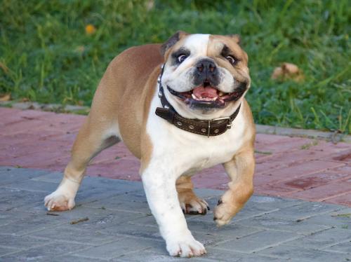 �� ������