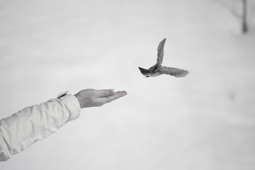 ����, ������...