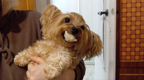 ��������� ��������!