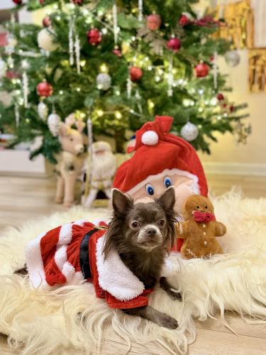 ��������� ���� ������ ������ ������