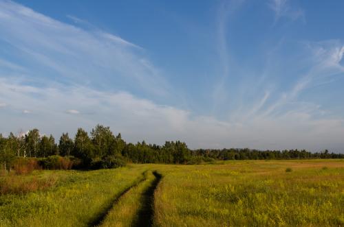 ������ �������