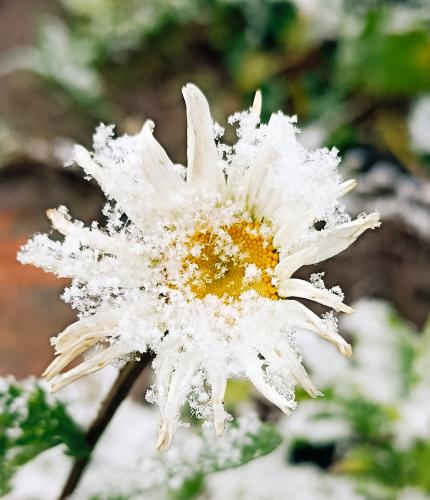 ����� �������� ���������