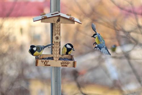 � ��������. 